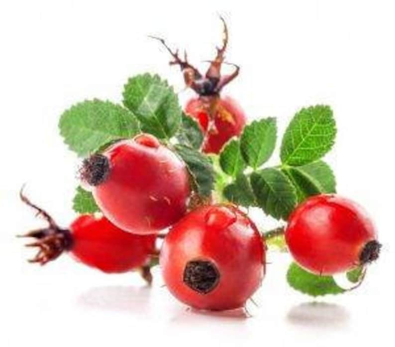 May include: Close-up of a cluster of bright red rose hips with green leaves and water droplets.