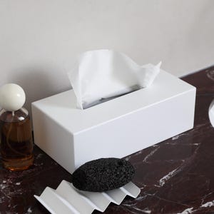 May include: A rectangular white tissue box holder with a single white tissue protruding from the top, a clear glass bottle with a round white cap, and a black porous pumice stone resting on a white wavy metal soap dish.