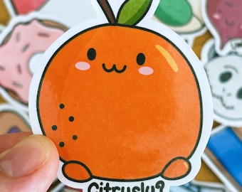 Funny Orange Vinyl Sticker