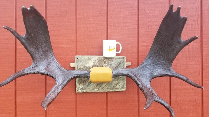 Professionally Mounted Authentic Moose Antler Sheds - Etsy