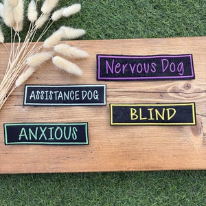 Op de afbeelding: Vier rechthoekige zwarte stoffen patches met geborduurde randen en tekst. De patches bevatten de woorden Nervous Dog in paars, Assistance Dog in lichtblauw, Anxious in lichtgroen en Blind in geel, allemaal in een schreefloos lettertype.