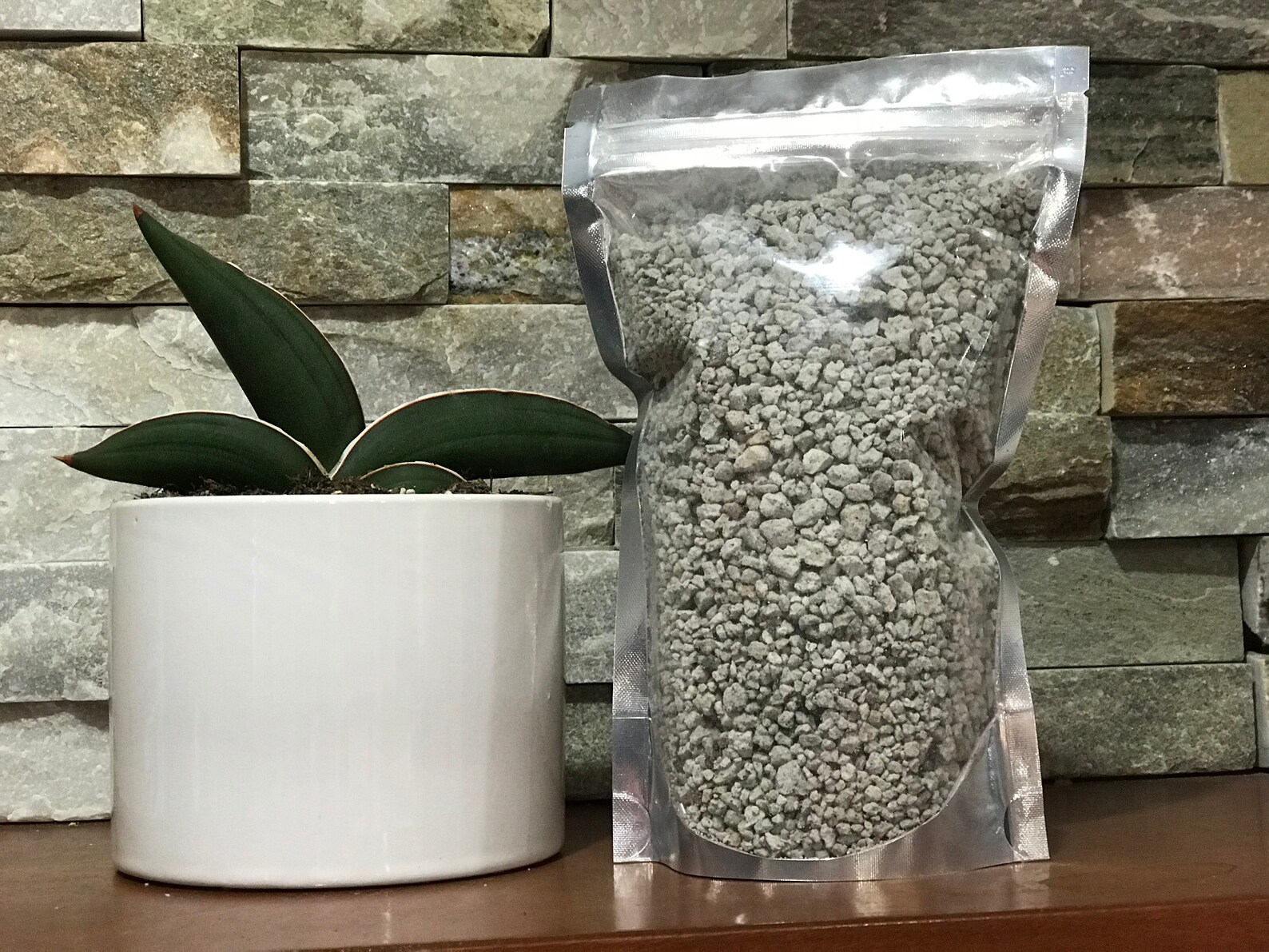 Pumice Substrate Ingredient for Succulent Cactus Bonsai Soil Etsy