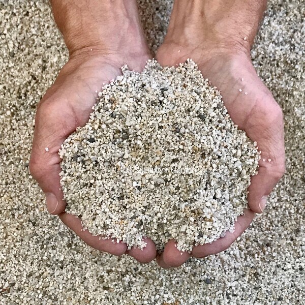 White Criva Mexican Beach Pebbles Top Dressing Substrate