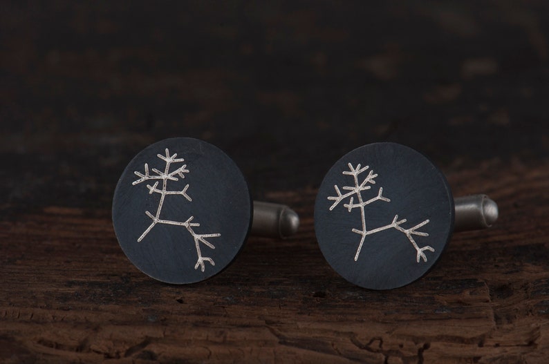 Graduation gift for men Geek science cufflinks Darwin tree of life cufflinks