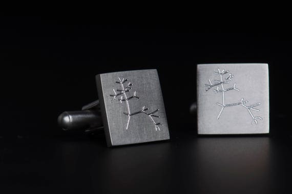 Sterling silver Darwin tree of life square cufflinks