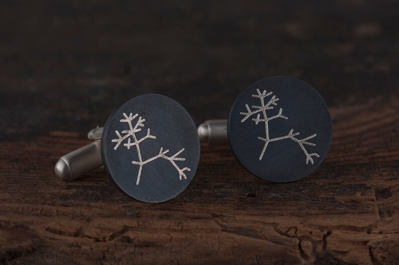 Graduation gift for men Geek science cufflinks Darwin tree of life cufflinks