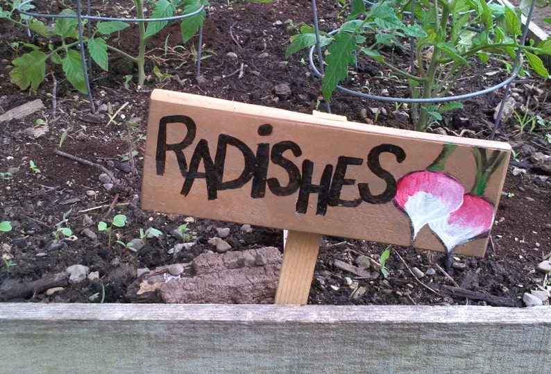 Custom Garden Markers Wood Sign Stakes Wooden Vegetable Fruit Etsy