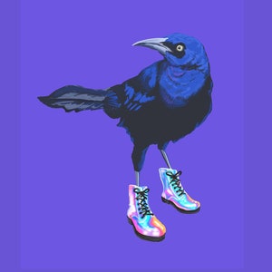 Austin Grackle Art Print: Bird in Boots Illustration