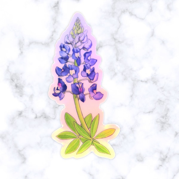 Bluebonnet Sticker | Texas Bluebonnet Holographic Sticker | Wildflower Sticker