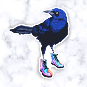 Austin Grackle Sticker: Bird in Colorful Combat Boots Weather Proof Decal