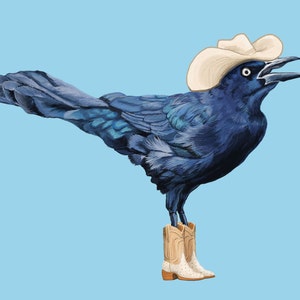Grackle Cowboy Art Print: Austin Texas Bird in Boots