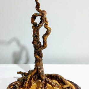 Peut inclure: Une sculpture en bois flott&eacute; poli et torsad&eacute; se dresse verticalement sur une base circulaire en bois clair avec des cernes visibles. Le bois brun fonc&eacute; pr&eacute;sente une finition brillante et une texture organique noueuse qui s'enroule vers le haut.