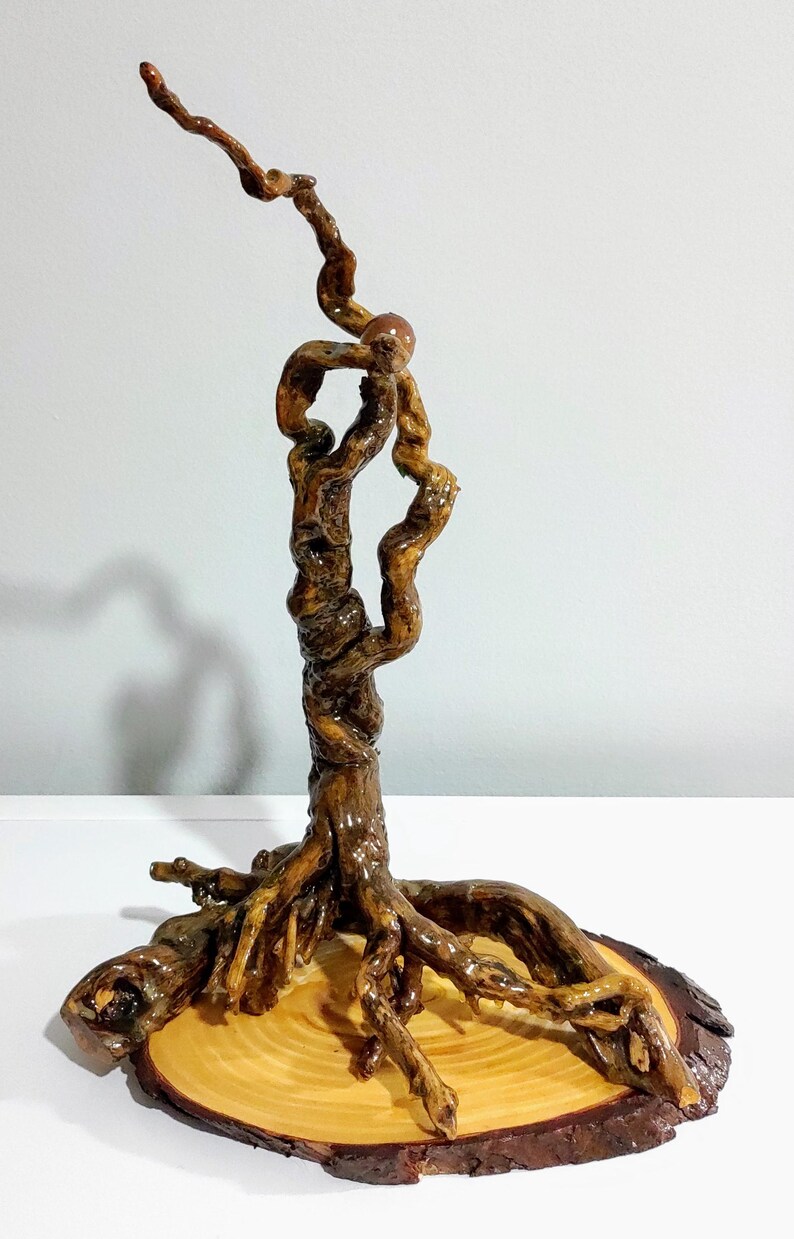 Peut inclure: Une sculpture en bois flott&eacute; poli et torsad&eacute; se dresse verticalement sur une base circulaire en bois clair avec des cernes visibles. Le bois brun fonc&eacute; pr&eacute;sente une finition brillante et une texture organique noueuse qui s'enroule vers le haut.