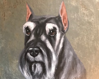 Schnauzer