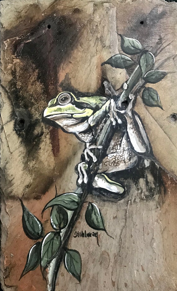 Tree Frog