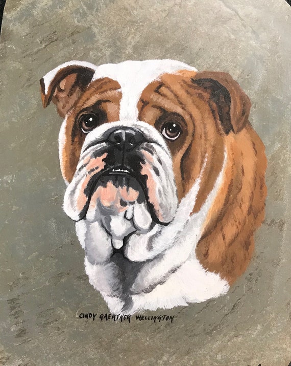 English Bulldog