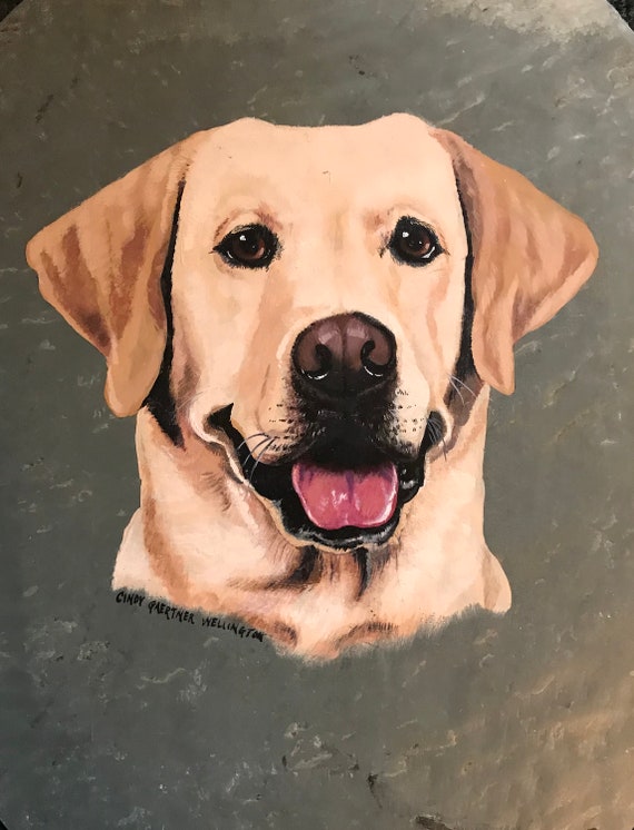 Yellow Labrador