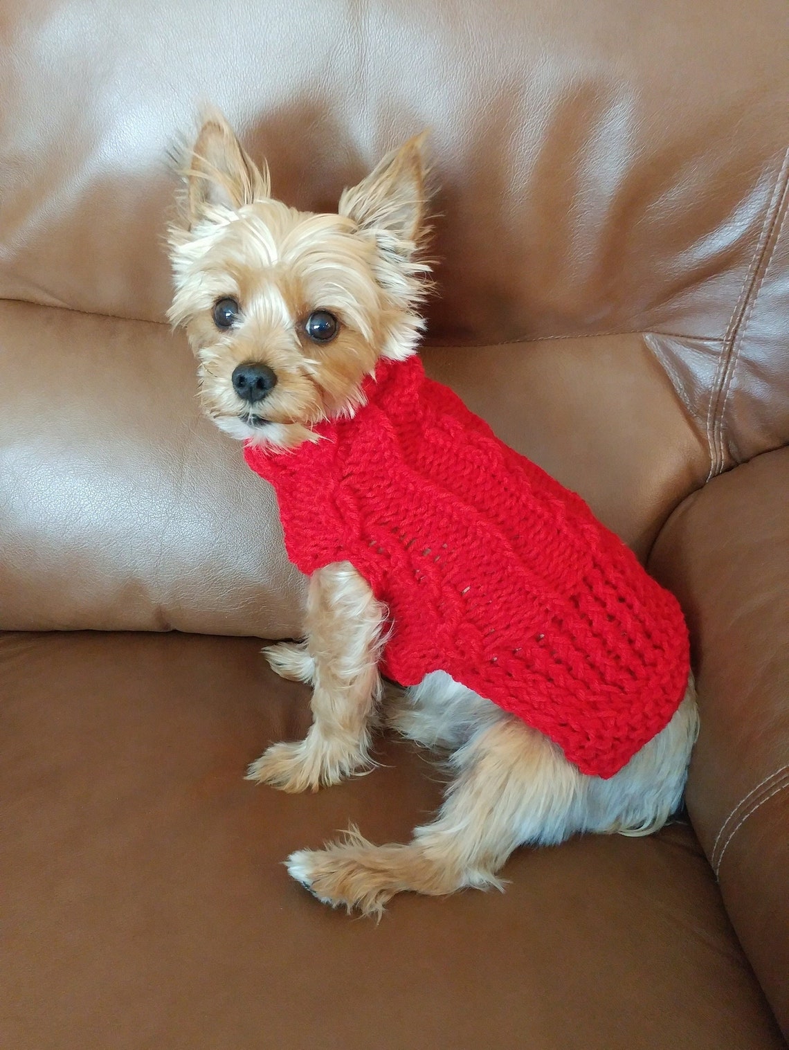Dog Sweater Teacup Dog Sweater Custom Dog Sweater Dog Etsy