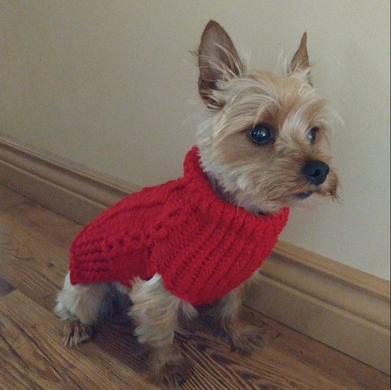 Dog Sweater Teacup Dog Sweater Custom Dog Sweater Dog Etsy