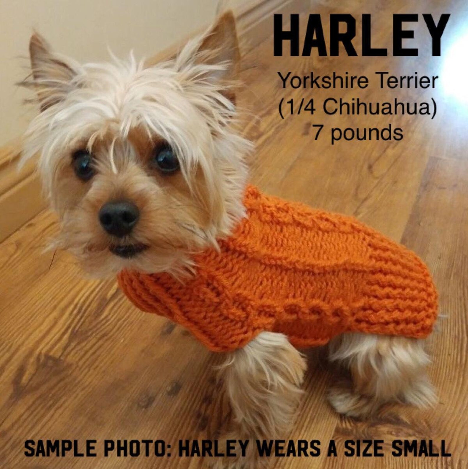 Dog Sweater Teacup Dog Sweater Custom Dog Sweater Dog Etsy