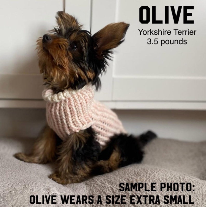 Dog clothes EXTRA SMALL Chihuahua clothes Puppy sweater Dog Sweater Dog coat Pet sweater Teacup dog sweater Denim white