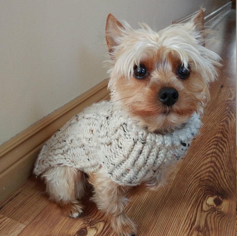 Dog Sweater Puppy sweater Teacup dog clothes Knitted dog sweater Cable knit dog sweater Teacup dog sweater BEIGE FLECK image 1