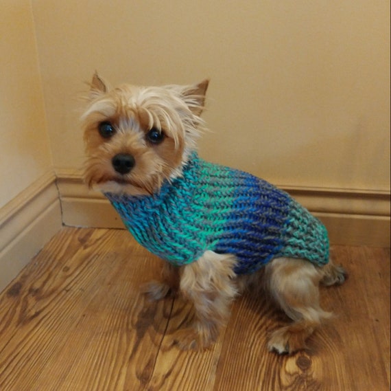 puppy sweater