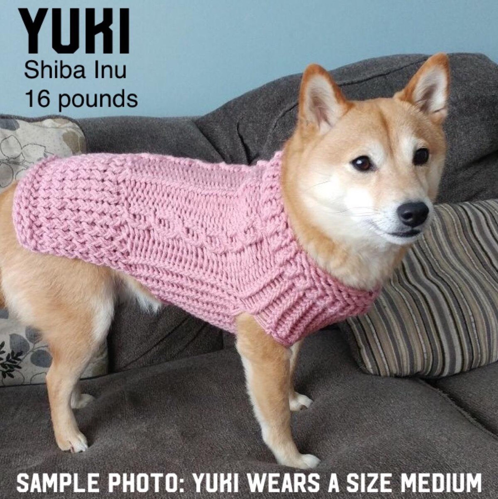 Dog Sweater Teacup Dog Sweater Custom Dog Sweater Dog Etsy