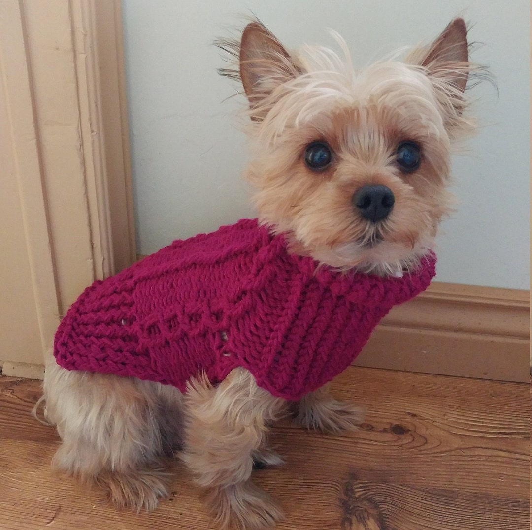 Dog Sweater Yorkie Sweater Knitted Sweater for Teacup Dogs Etsy