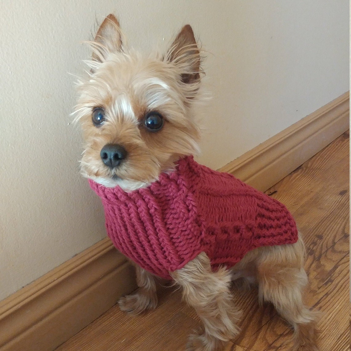 Dog sweater Yorkie sweater Knitted sweater for teacup dogs Etsy