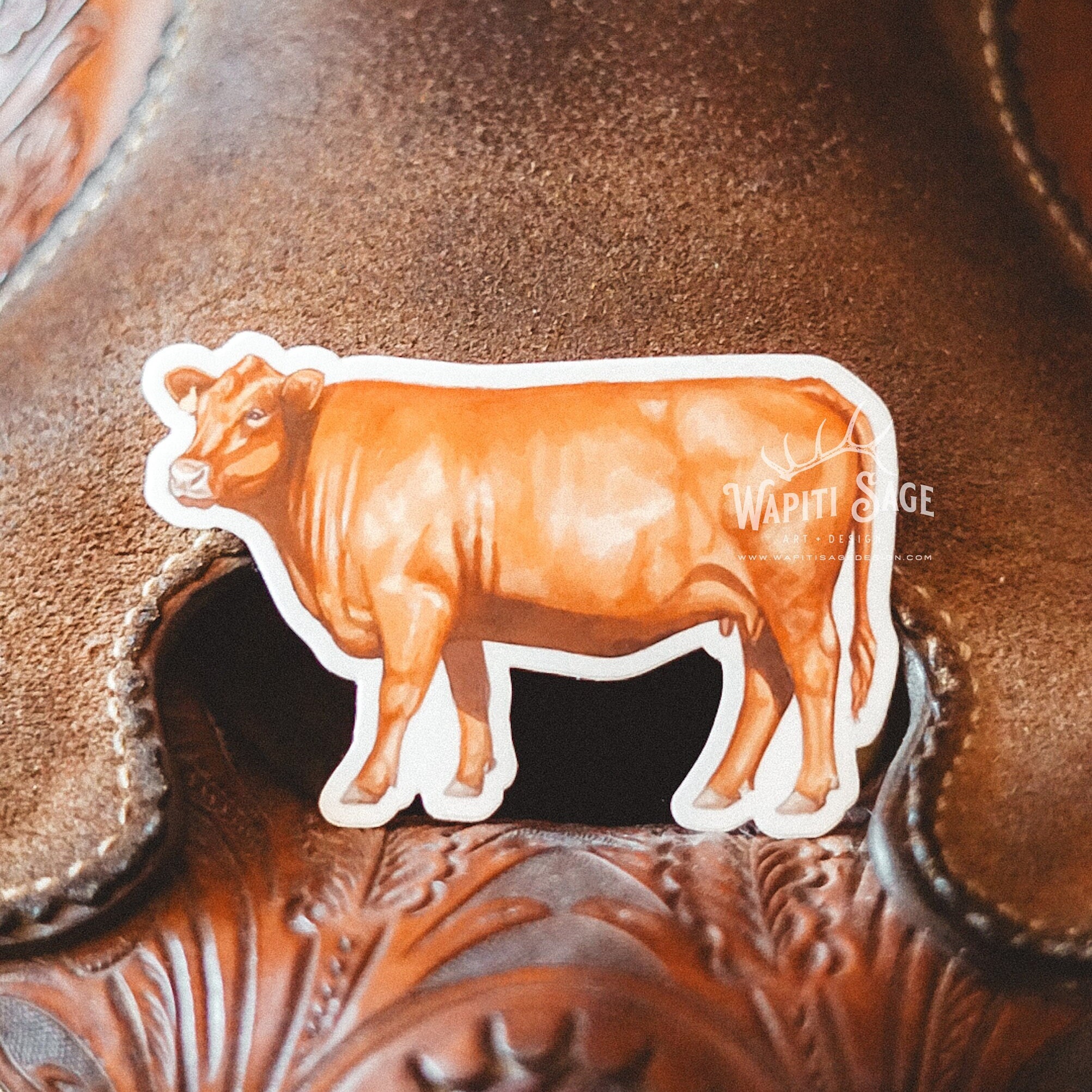Beef Cow Sticker Cattle Angus Red Cow Mama Sticker Beef Cattle Ranch ...