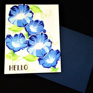 Morning Glory Hallo