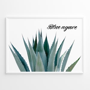 Blue Agave or Agave tequilana photo with Calligraphy sign, poster or postcard for print, Digital file only, Download. Files: .JPG