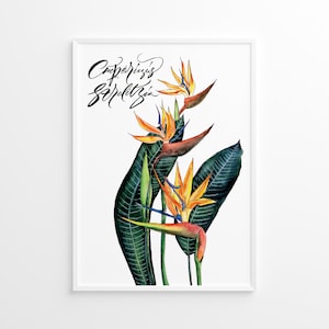 Strelitzia Druck, Paradiesvogel Kunst. Kalligraphie und Aquarell. Gedruckt, Wandkunst, Poster.