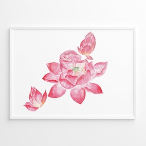 Lotus flower, 蓮花, Chinese Painting for Print, Digital file only, Download, Individual or commercial use. Files: .JPG
