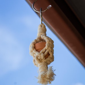 May include: A small terracotta pot held within a cream-colored macrame plant hanger. The hanger features intricate knotted cord patterns and terminates in a frayed tassel at the bottom. A silver metal hook is attached to the top ring for hanging.