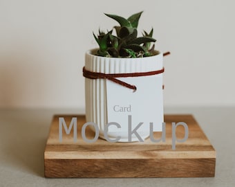Download Succulent Mockup Etsy