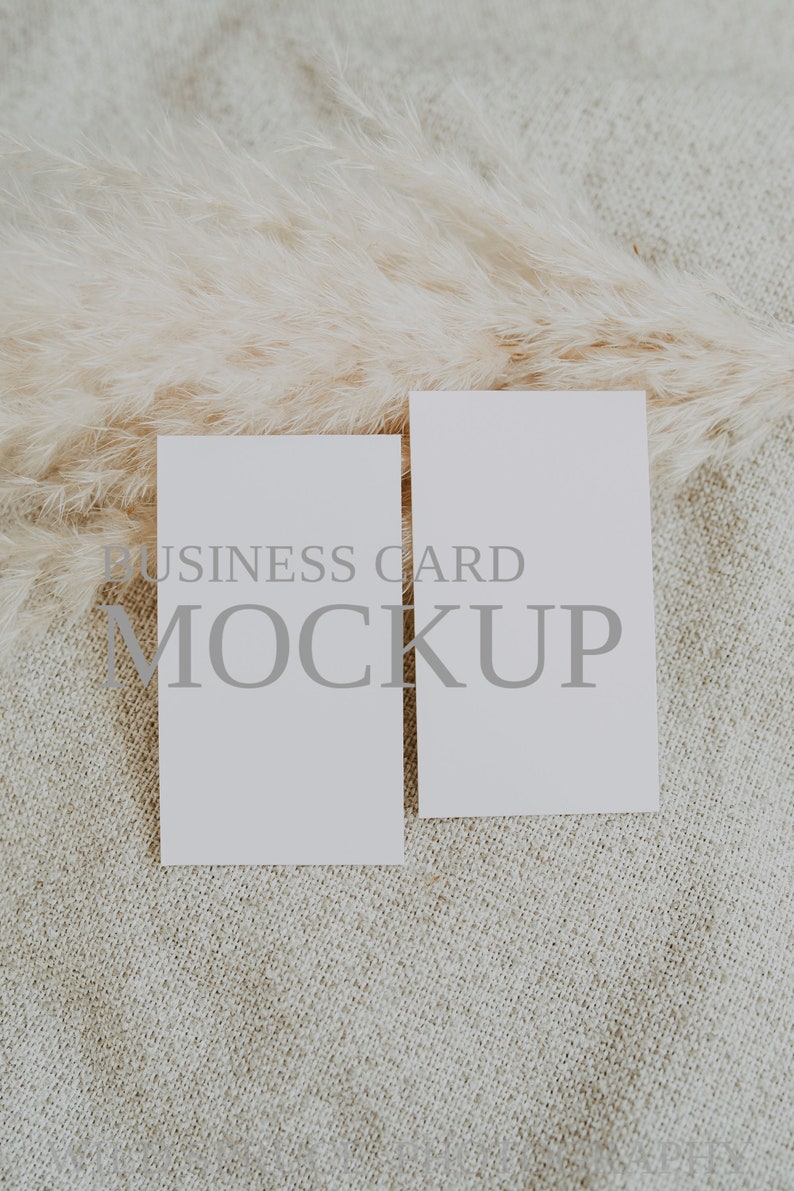 May include: Two blank white business cards on a beige textured background with a dried pampas grass plant.