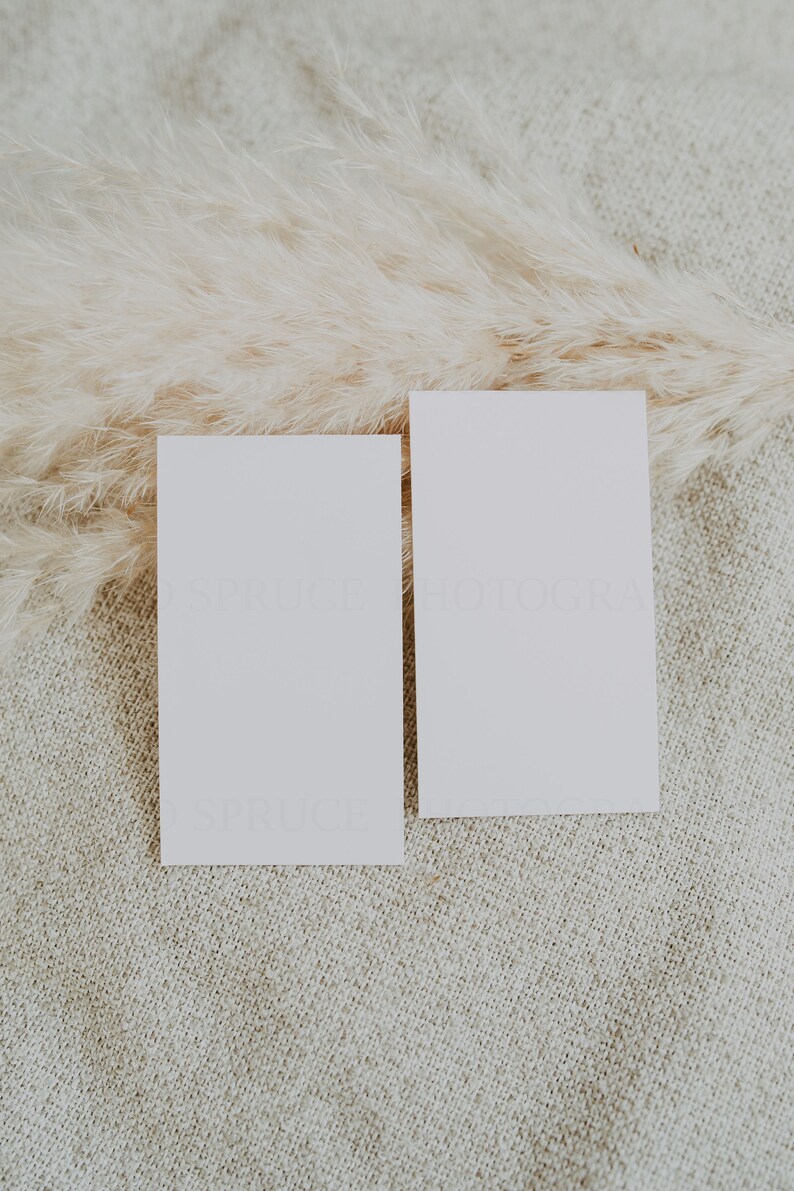 May include: Two blank white cards on a beige textured surface with a dried pampas grass plume.