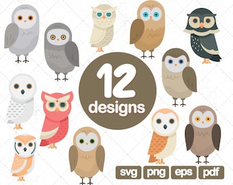 12 Ows Clipart Bundle, hibou png, mignon hibou clipart, hibou cut file, owl graphics, bird clipart, animal clipart, owl illustration, vector clipart