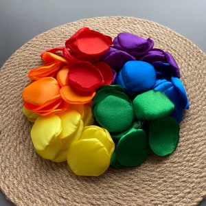 Pode incluir: Um sortimento de pétalas de flores de tecido de cetim arco-íris. As pétalas são dispostas em círculo sobre um tapete tecido. As cores são vermelho, laranja, amarelo, verde, azul e roxo.