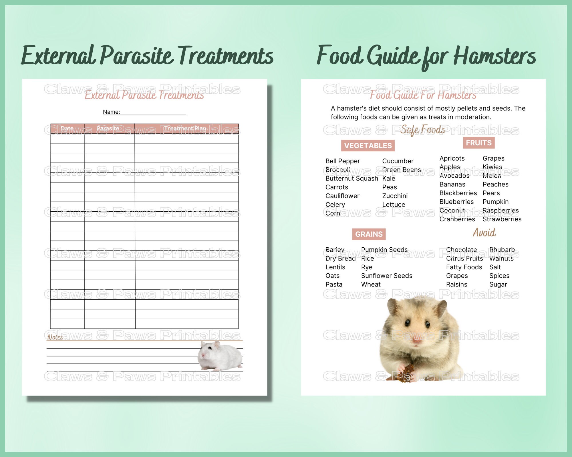 Hamster Care Sheet: Food, Habitat & Health