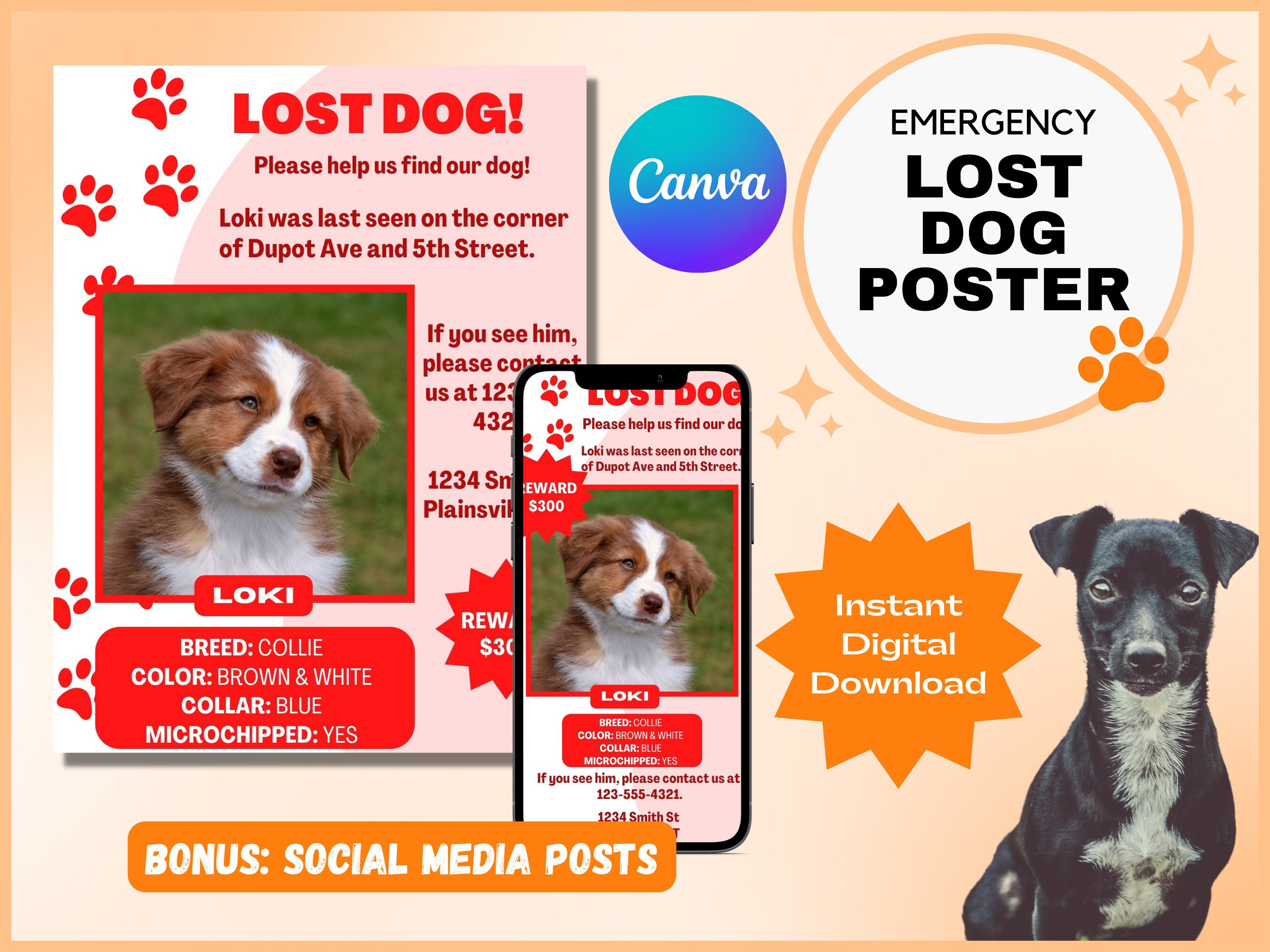 Lost Dog Poster Missing Dog Poster Canva Templates Lost - Etsy Australia Lost Dog Poster Missing Dog Poster Canva Templates Lost - Etsy Australia