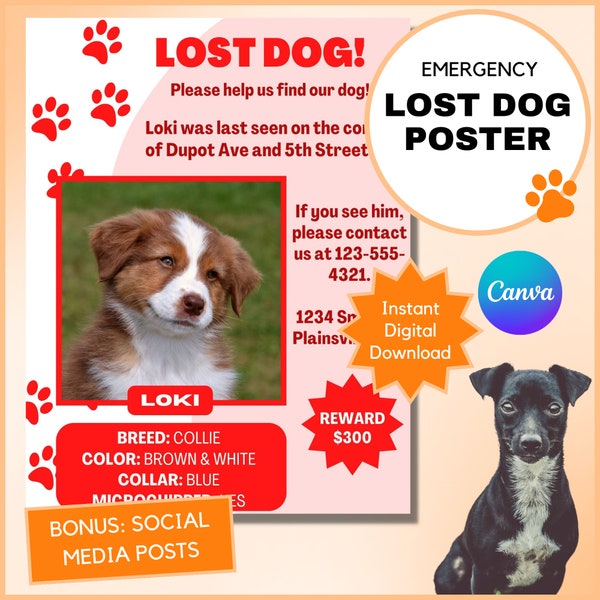 Lost Dog Poster | Missing Dog Poster | Canva Templates | Lost Dog Template | Missing Dog Flyer | Lost Dog Flyer | Lost Dog Social Media
