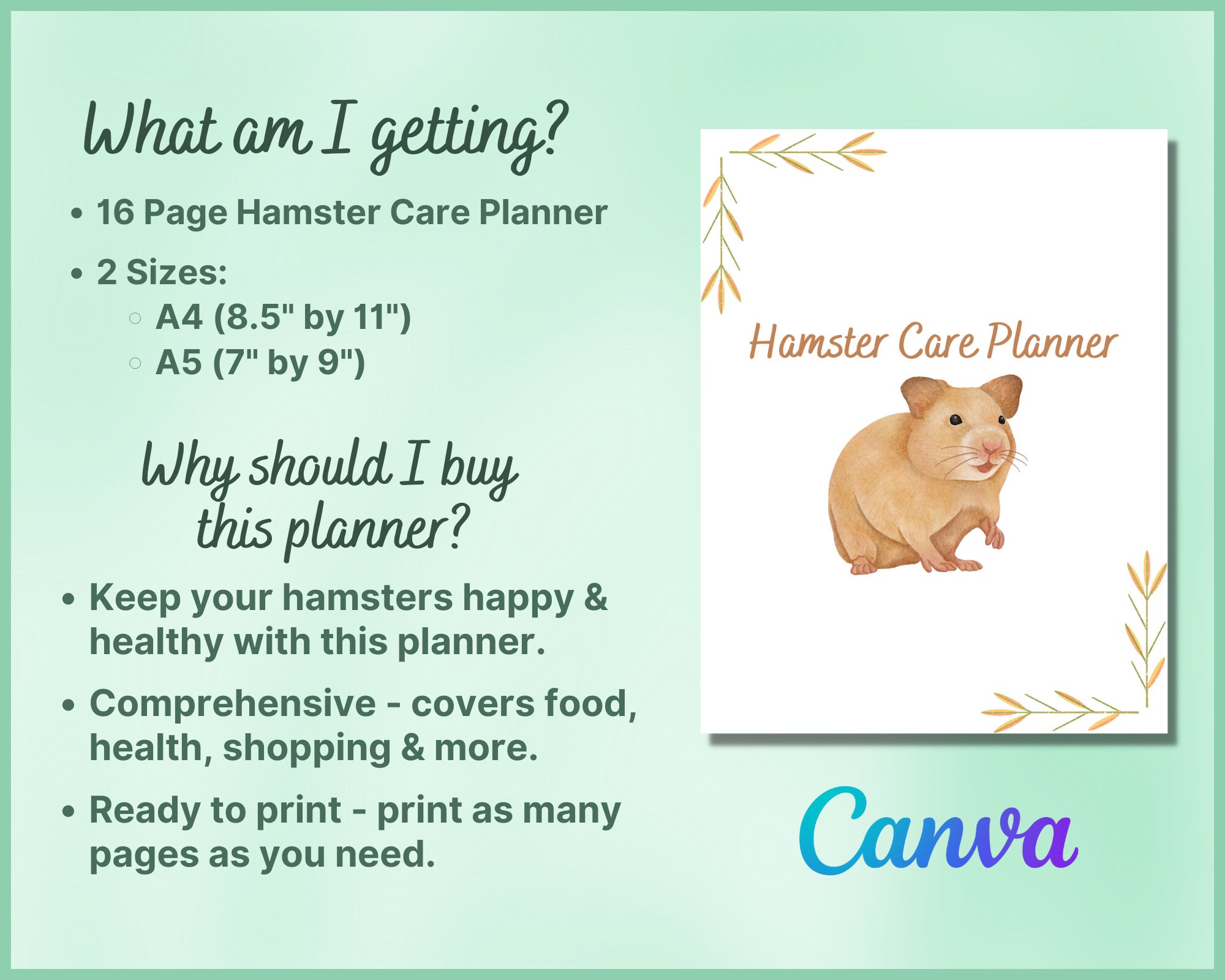 What You Need to Know Before Choosing Your First Pet Hamster – Wagr Petcare