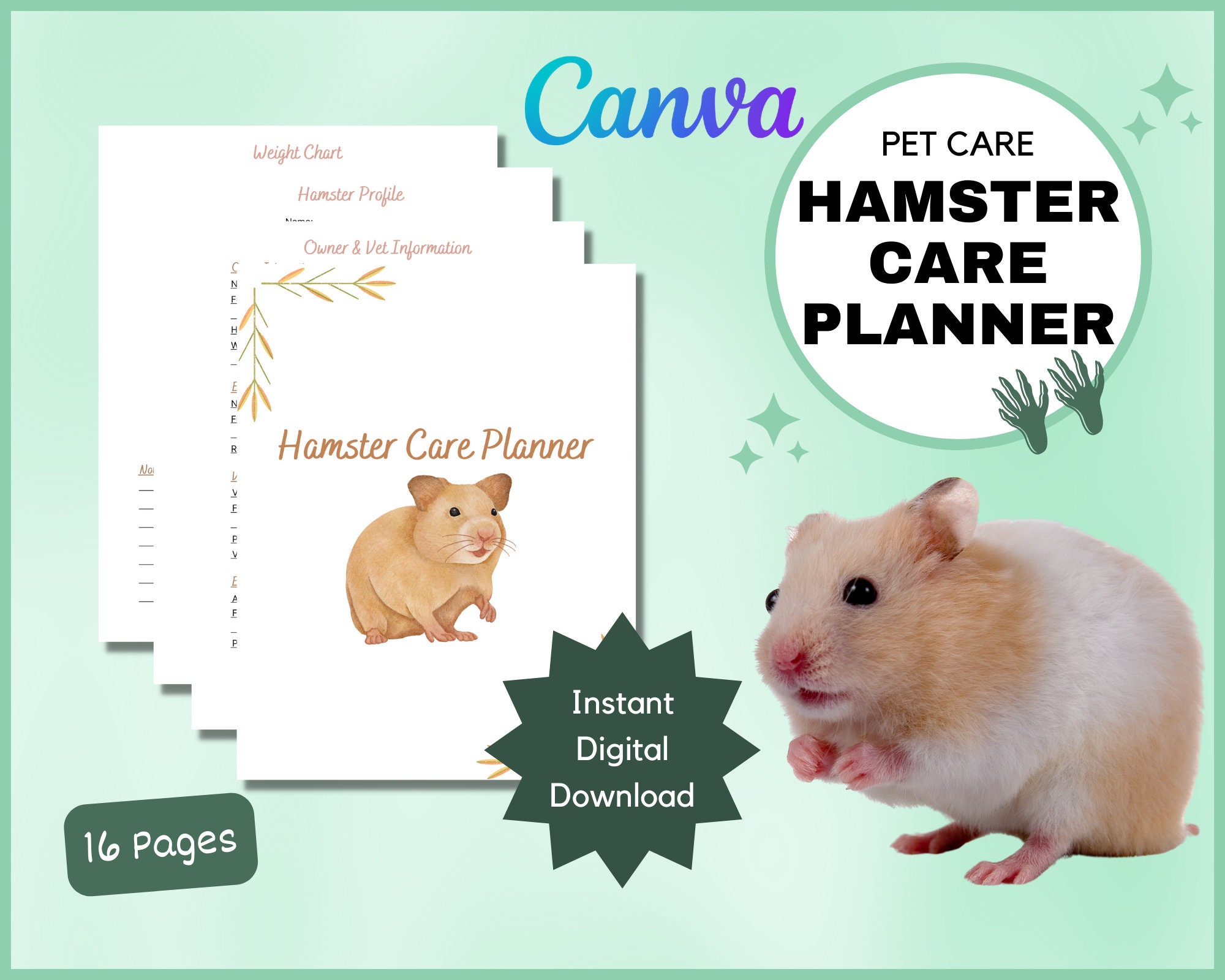 Syrian Hamsters in Singapore: Care & Prices [+ Expert Tips]