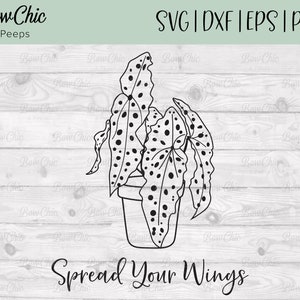 May include: Black and white line art illustration of a potted plant with spotted leaves. The text "Spread Your Wings" is below the plant.