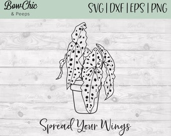 Angel Wing Begonia svg | Begonia Maculata svg | Spread Your Wings svg | Plant svg  | Gardening svg | Plant Lady svg | Hand Drawn Plants