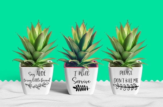 Free Free 324 Flower Pot Sayings Svg SVG PNG EPS DXF File