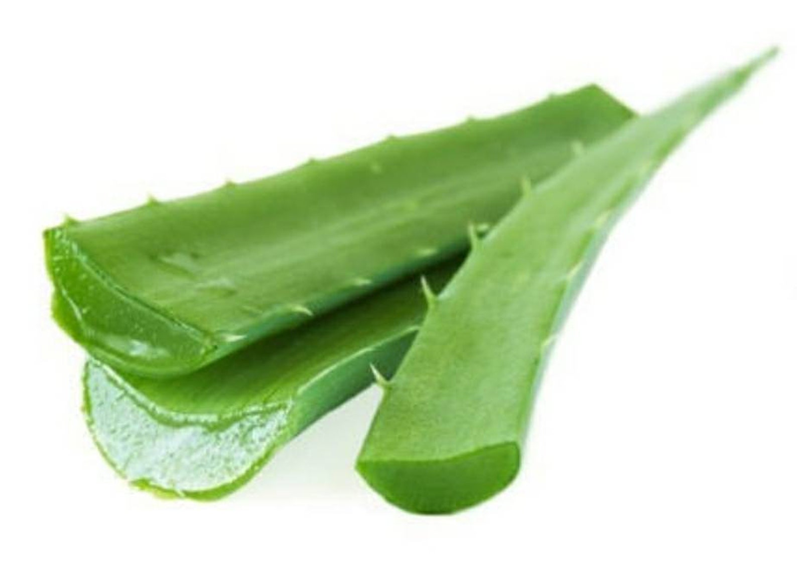 Листья алоэ купить. Aloe Vera. Natural Fresh Aloe Vera. Soft Leaf Aloe Vera Antibacterial Cleaning wipes. Aloe Vera PNG.